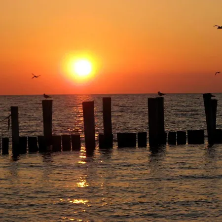 Vi Nicole Hafenstraße 37 *